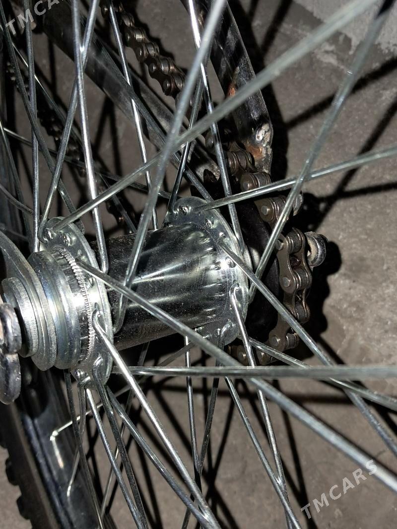 tigir 20 lik - Бекреве - img 2