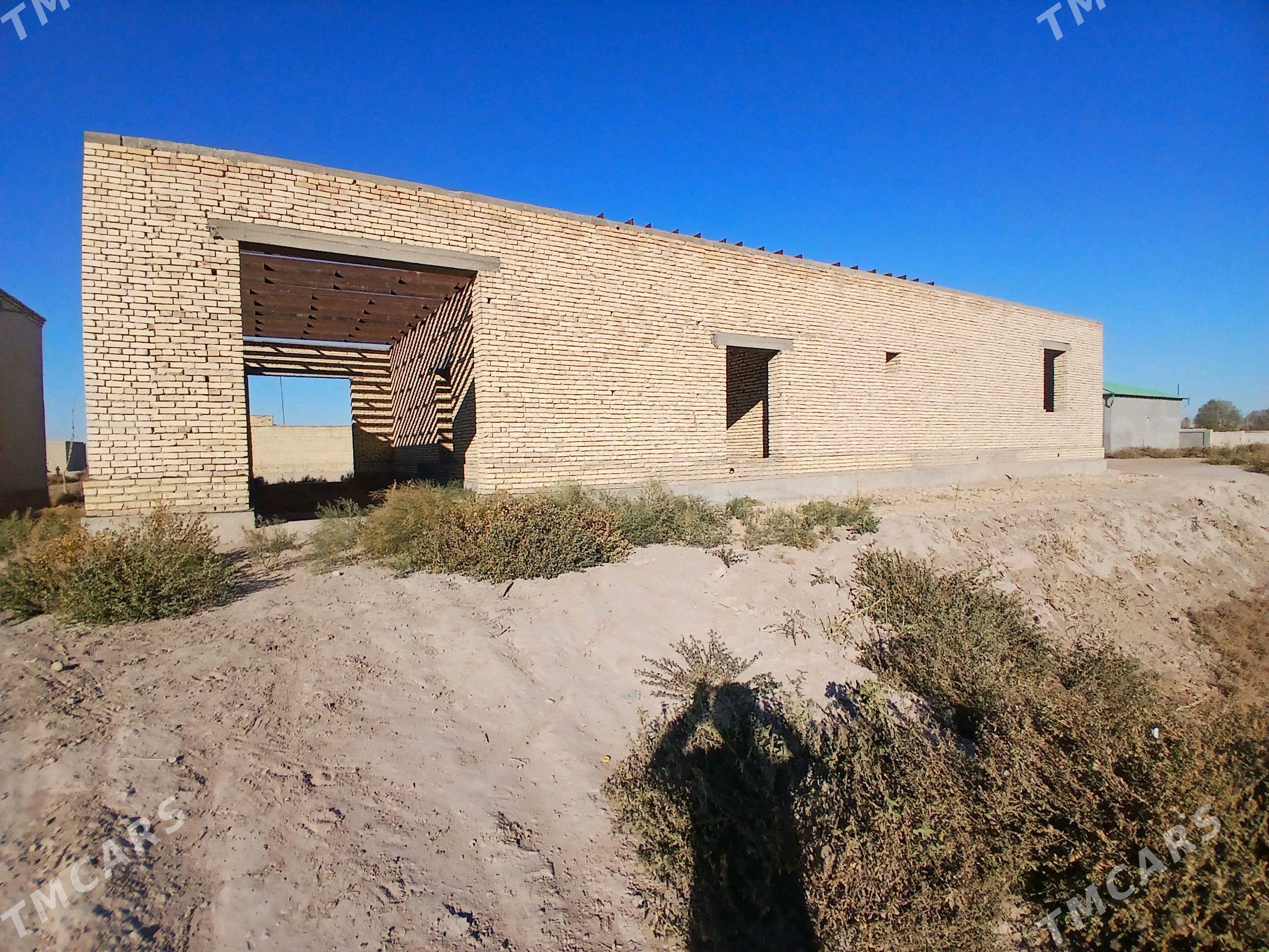 ucaska - Daşoguz - img 3