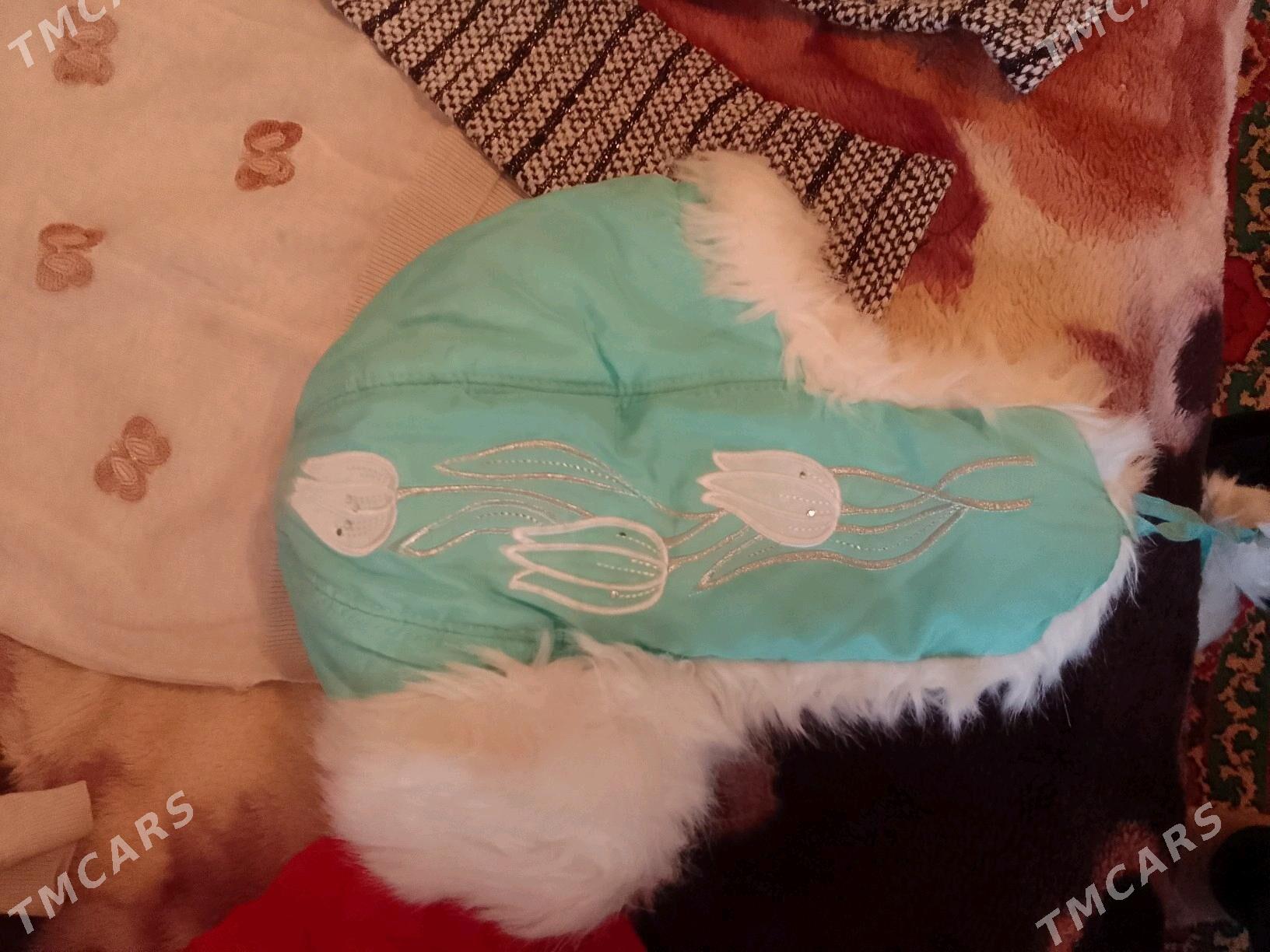 jemperlar - Daşoguz - img 2