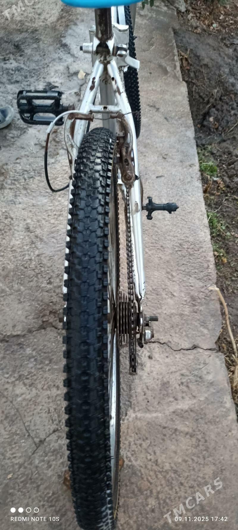 велик - Daşoguz - img 2