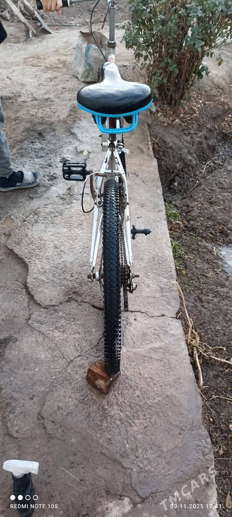 велик - Daşoguz - img 3