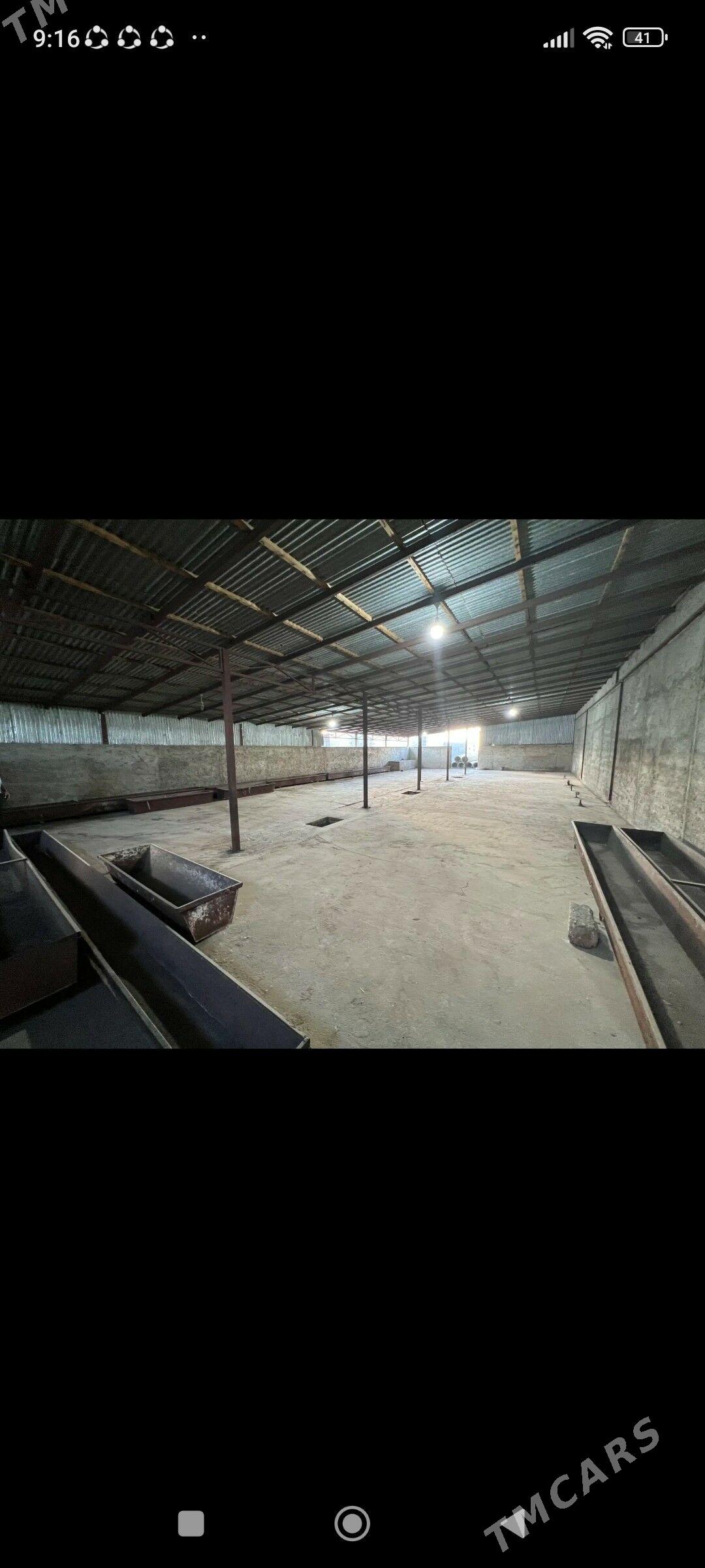 ferma we jay - Gyzylarbat - img 7