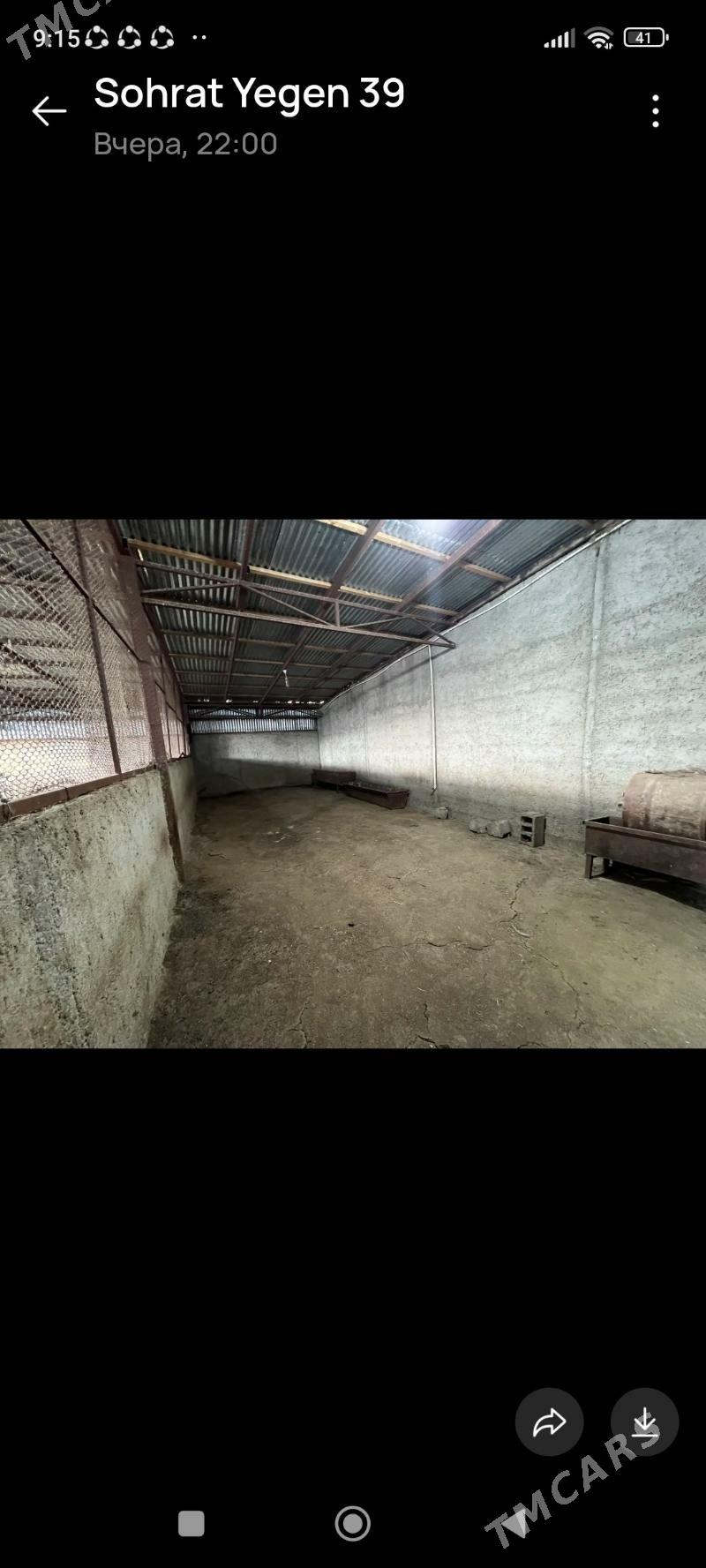 ferma we jay - Gyzylarbat - img 10