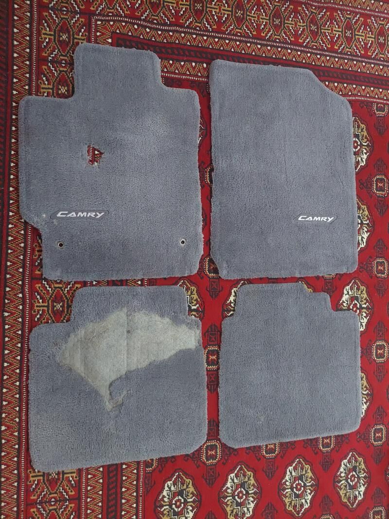 Kovrik Коврик okuz kelle 200 TMT - Дашогуз - img 2