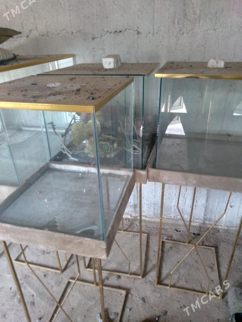 bukja - Aşgabat - img 3