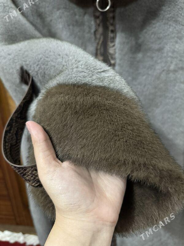 suba - Daşoguz - img 5