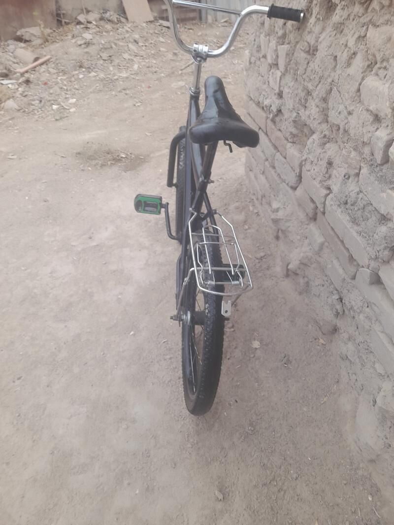 tigr - Район ст. Аэропорта, ул. Гагарина - img 2