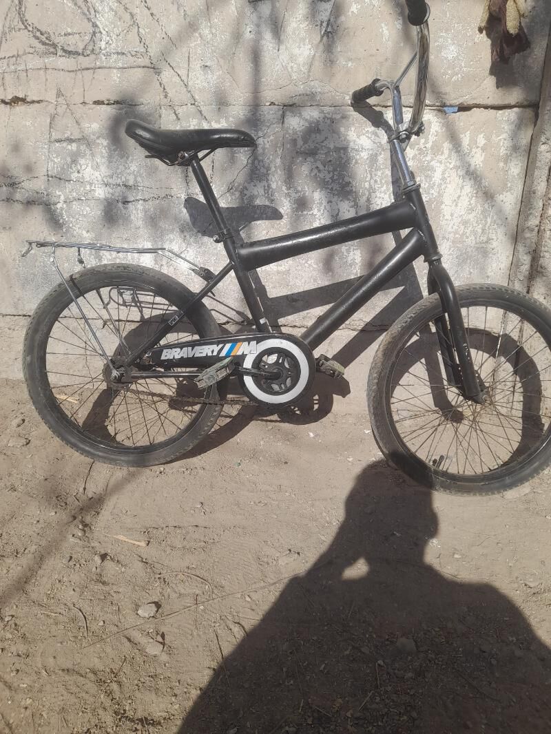 tigr - Район ст. Аэропорта, ул. Гагарина - img 3