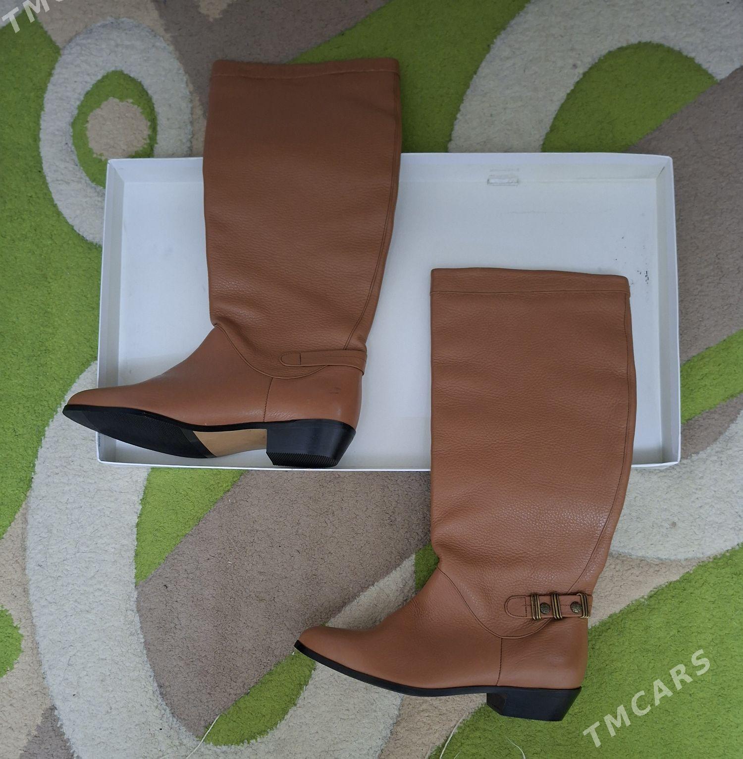 сапоги 39-40 - Aşgabat - img 3