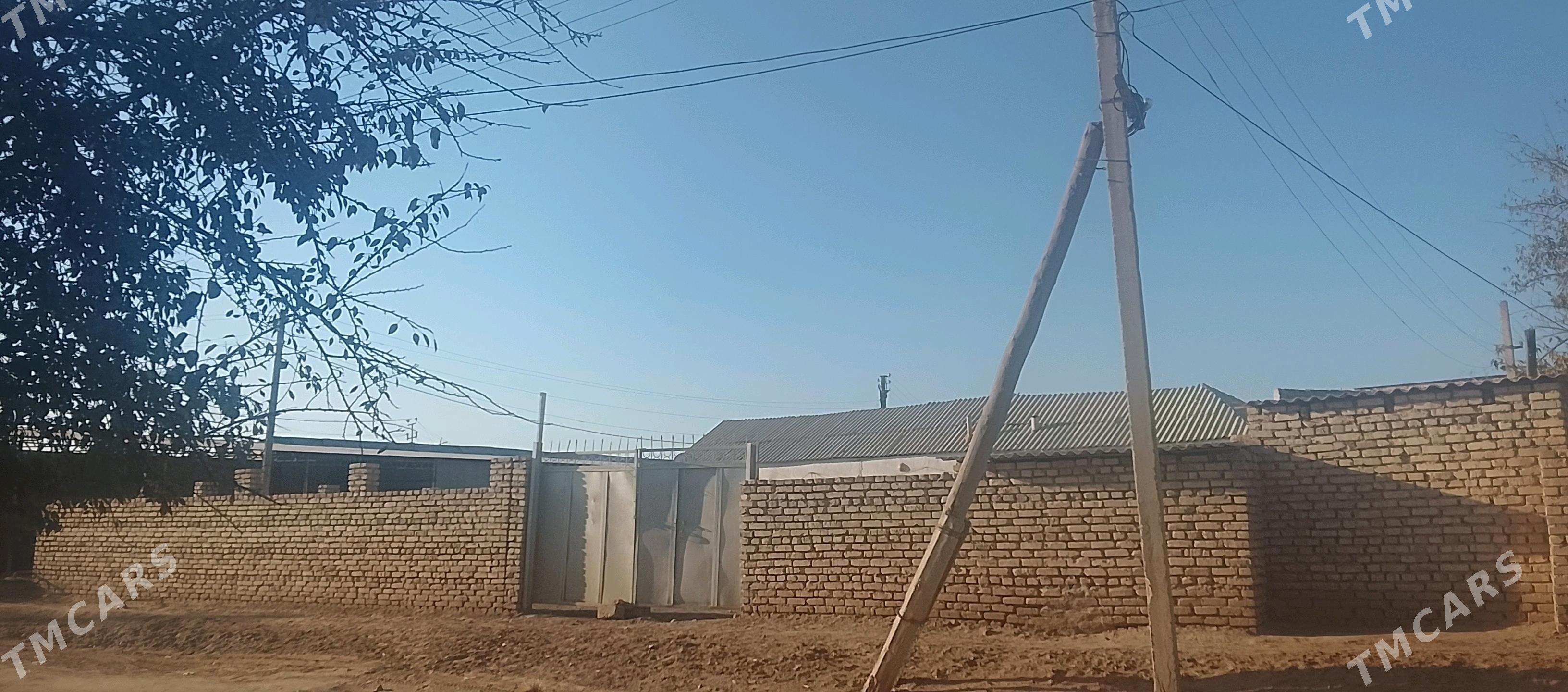 satlyk jaý - Babadaýhan - img 2