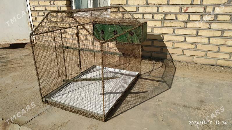 Gus Ketek. Enjam. Biznes - Murgap - img 2