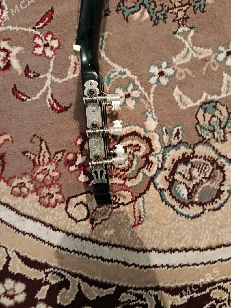 gitara - Койтендаг - img 3