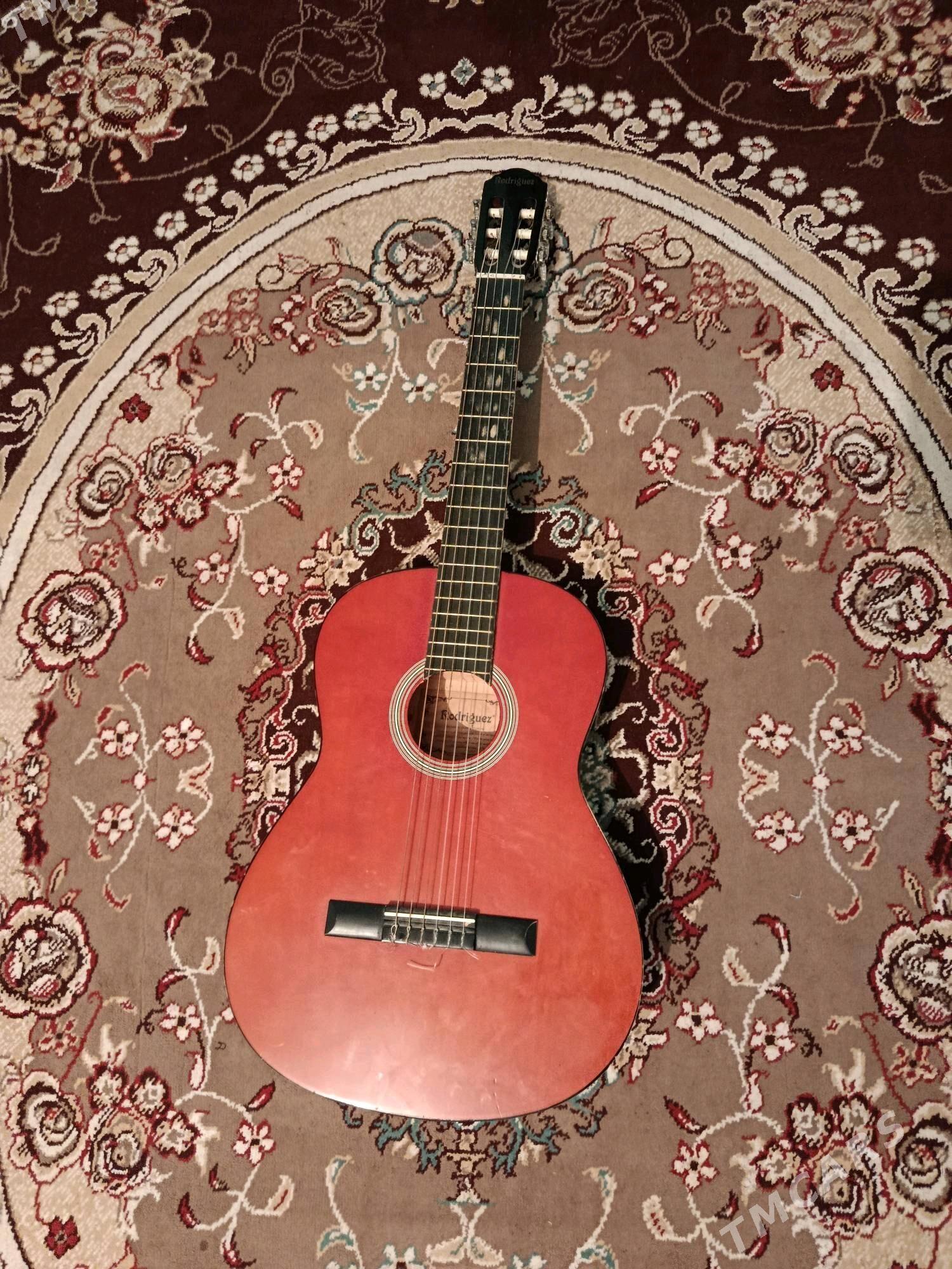 gitara - Койтендаг - img 5