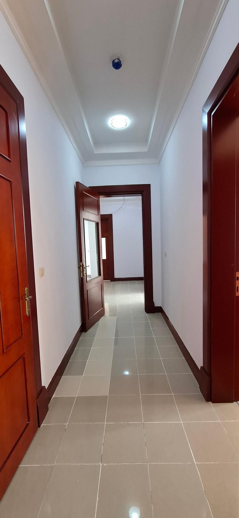 ШАЕЛЫ РУХНАМА ЭЛИТКА - Ашхабад - img 6