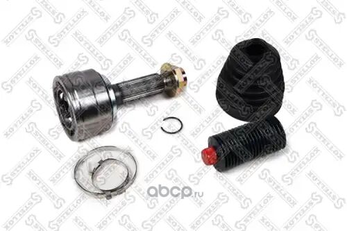 GRANATLAR - Ашхабад - img 2