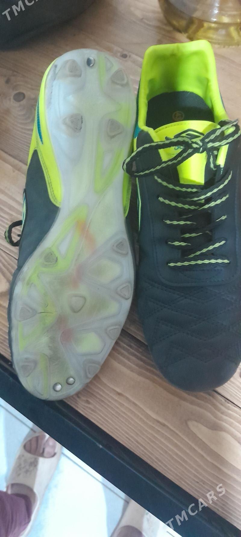 Dugana butsy - Aşgabat - img 2