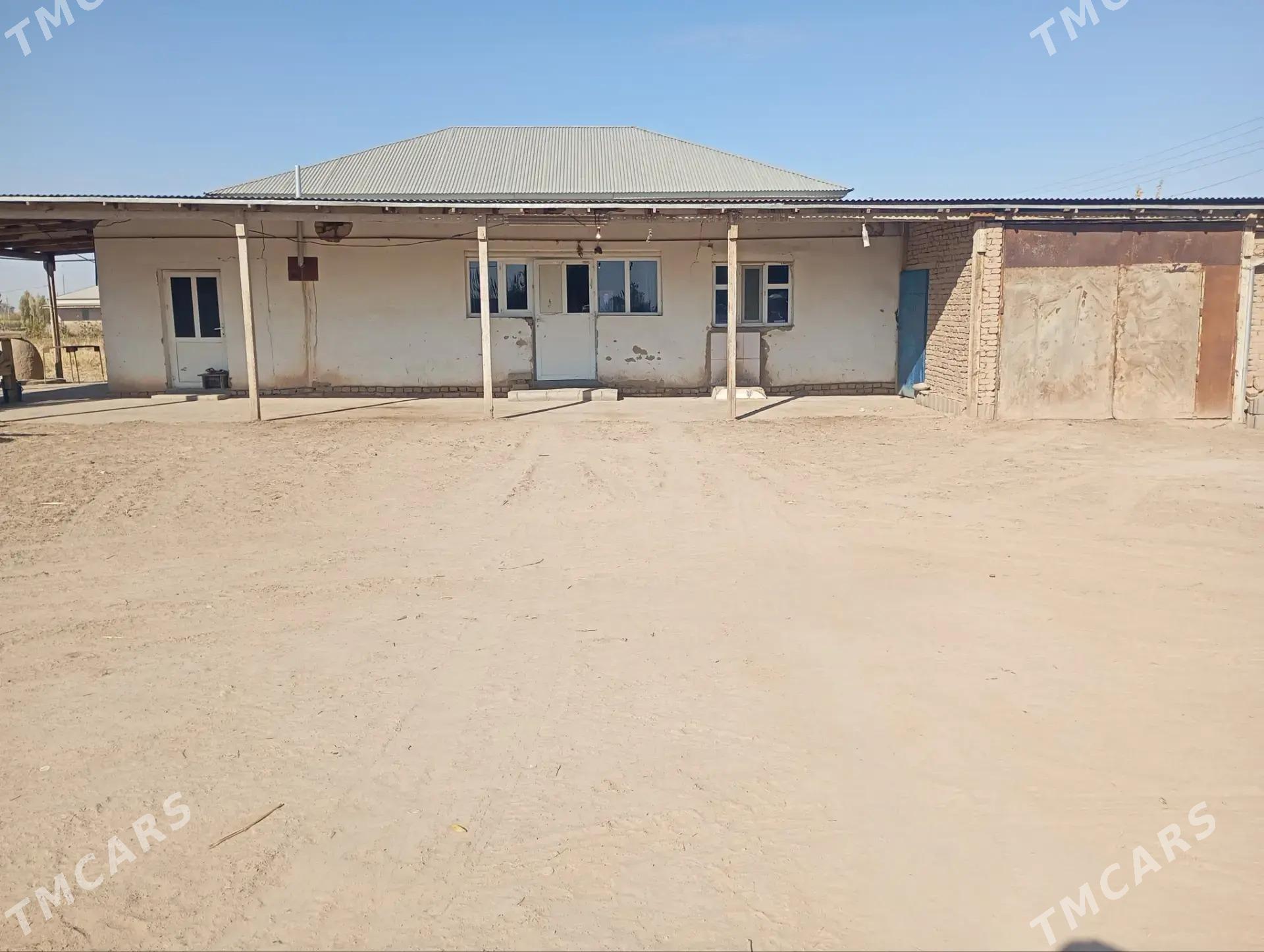 Jay - Гороглы (Тагта) - img 1