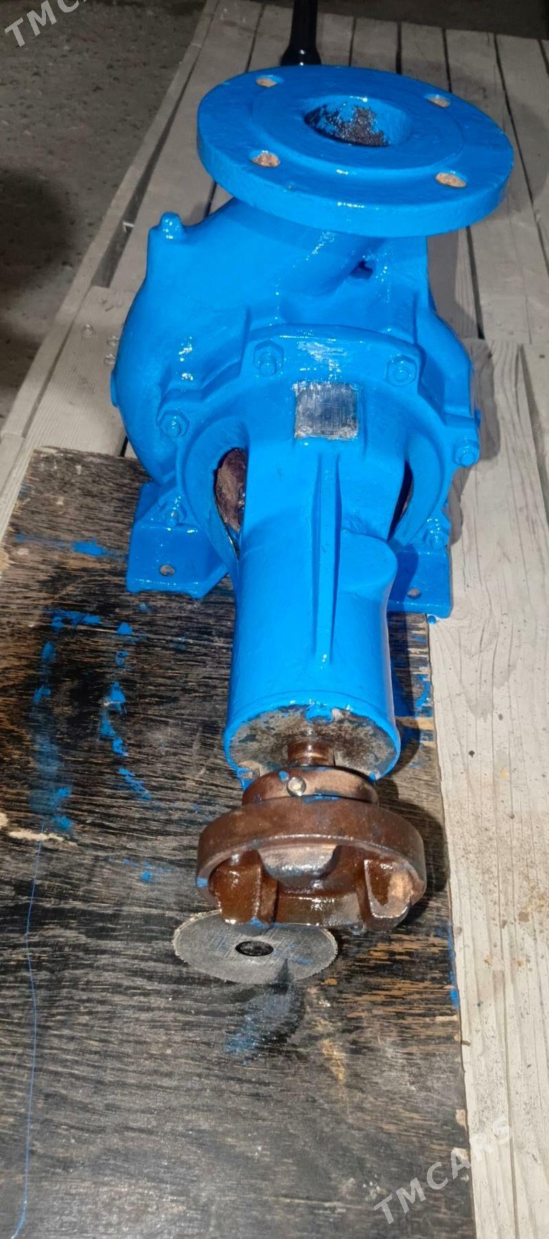 pompa - Büzmeýin - img 2