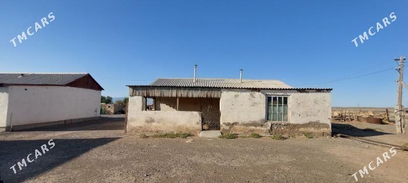 Satlyk Jaý - Bereket - img 1