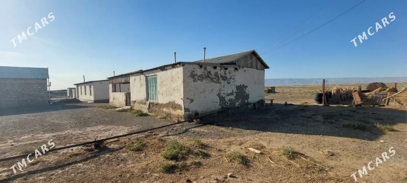 Satlyk Jaý - Bereket - img 4