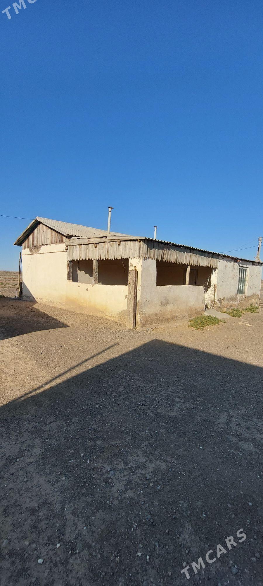 Satlyk Jaý - Bereket - img 3