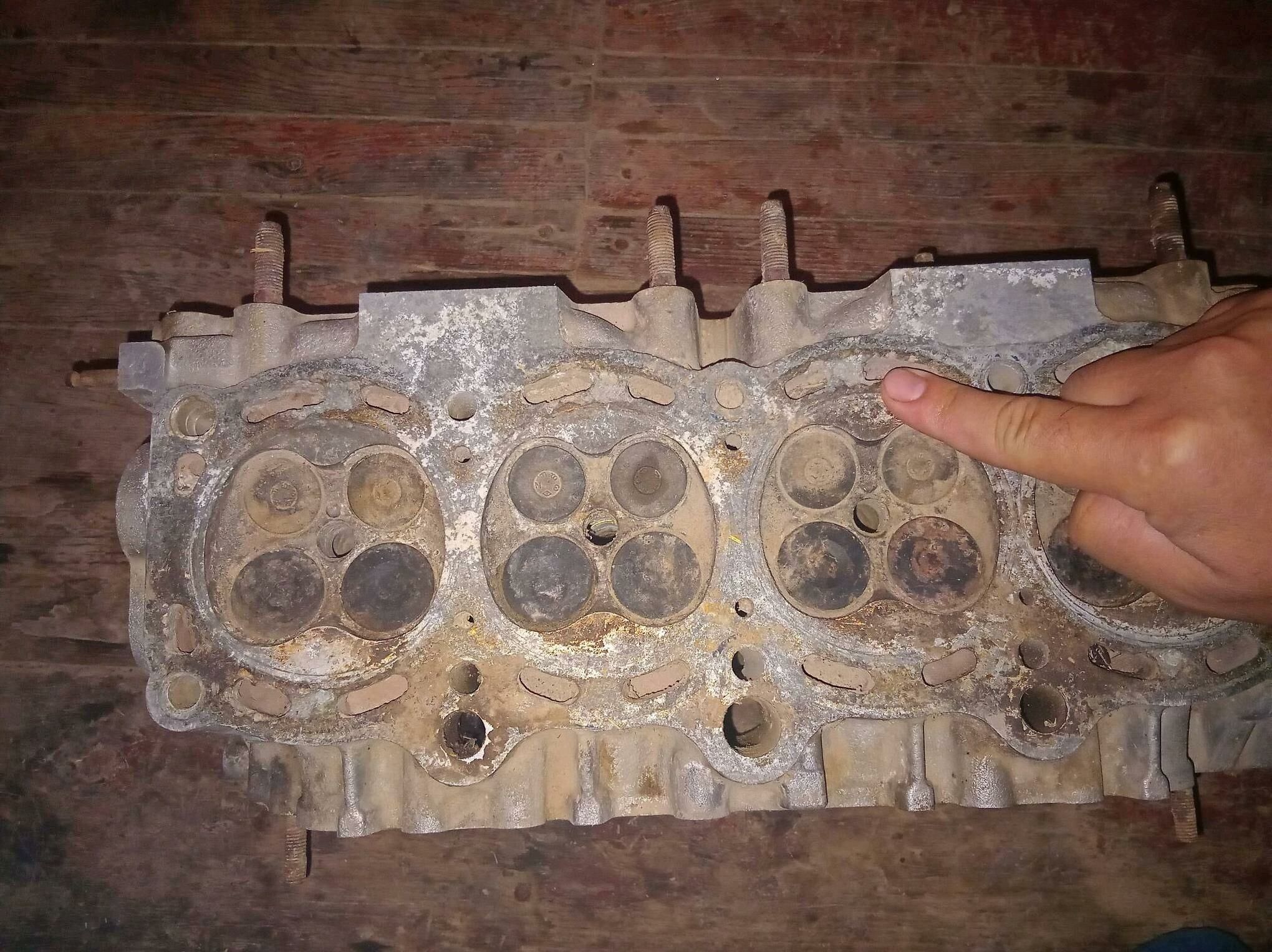 caronanyn blogy 800 TMT - Чарджоу - img 3