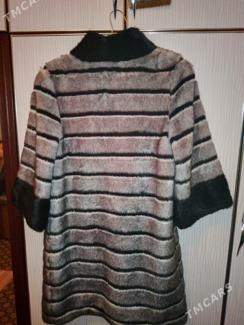 shuba - Дашогуз - img 2