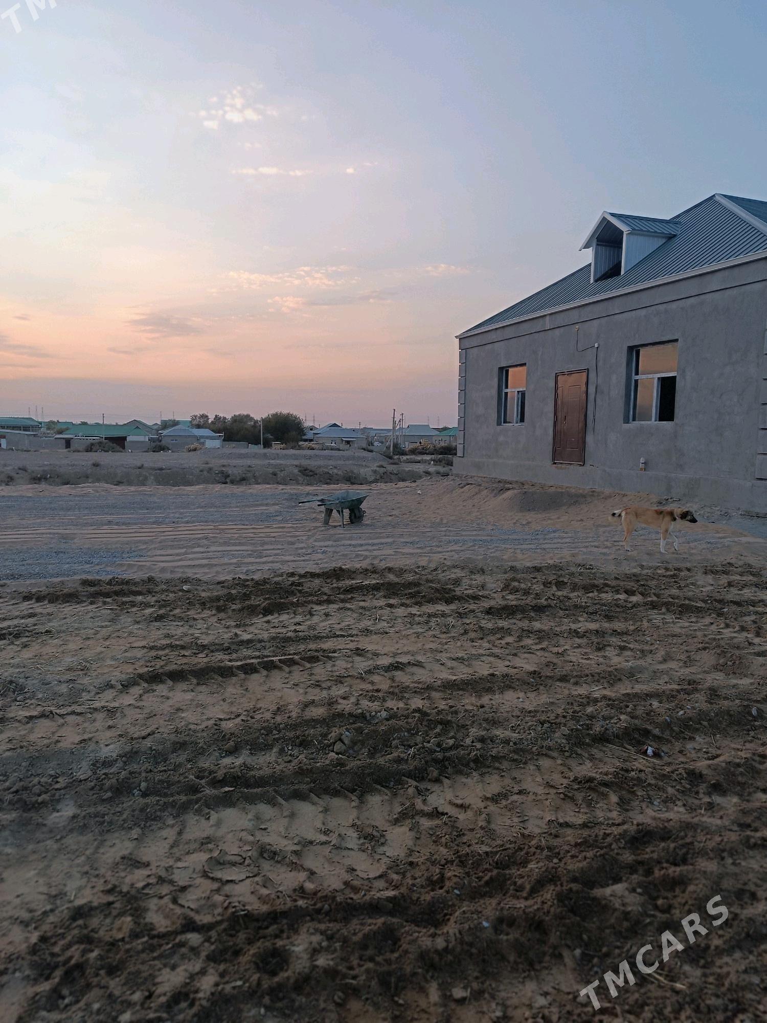 onaldy satlyk jay - Ak bugdaý etraby - img 5