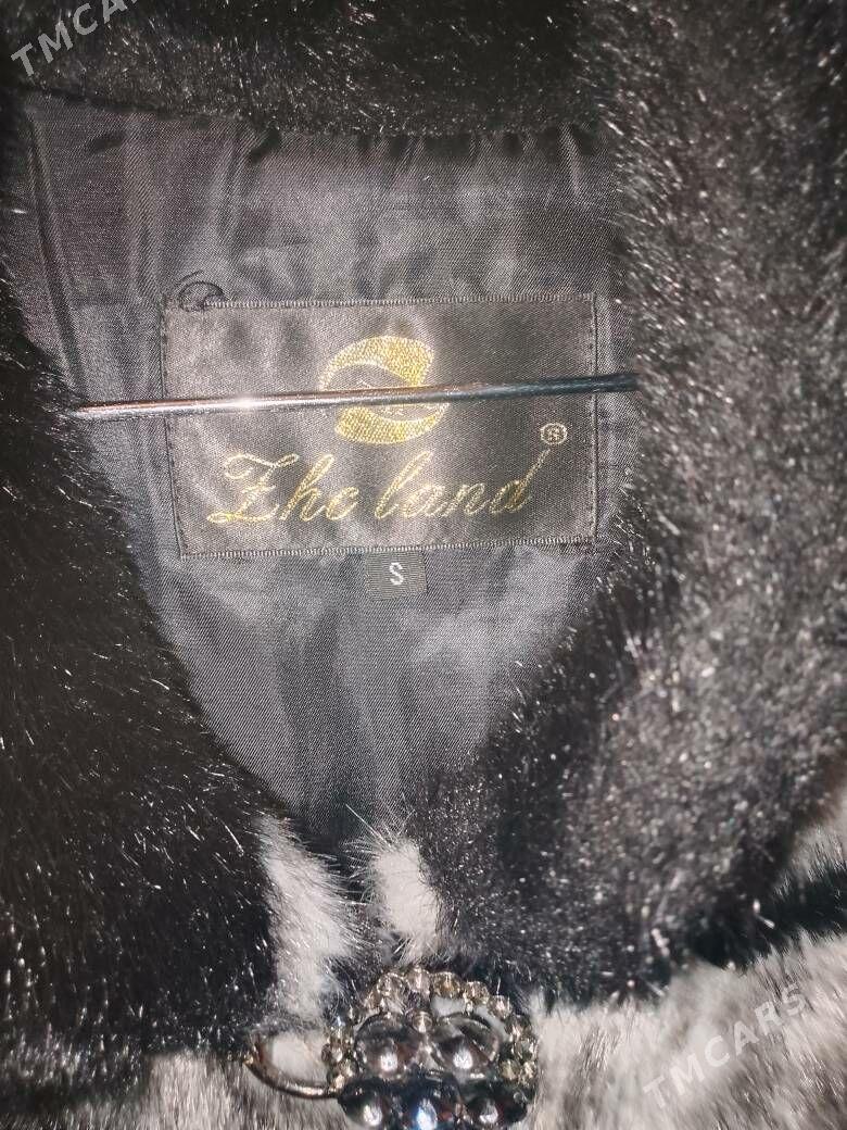 shuba - Дашогуз - img 3