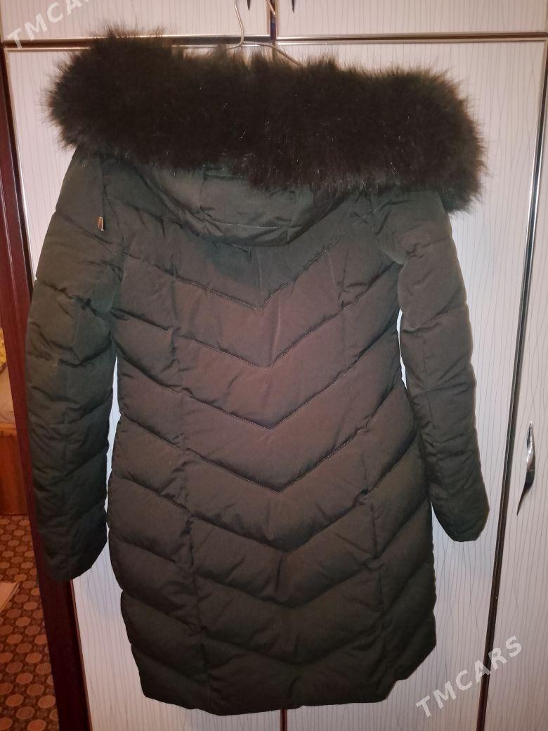 kurtga - Daşoguz - img 3