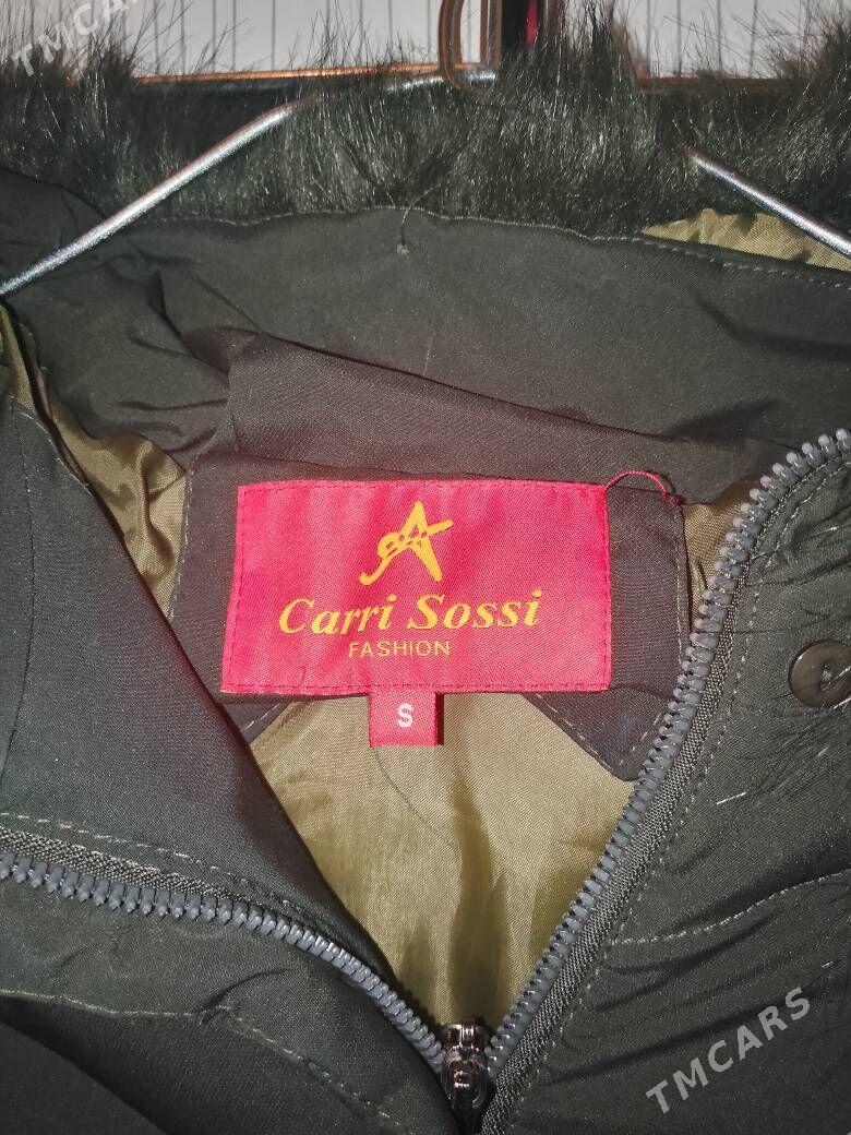 kurtga - Daşoguz - img 2