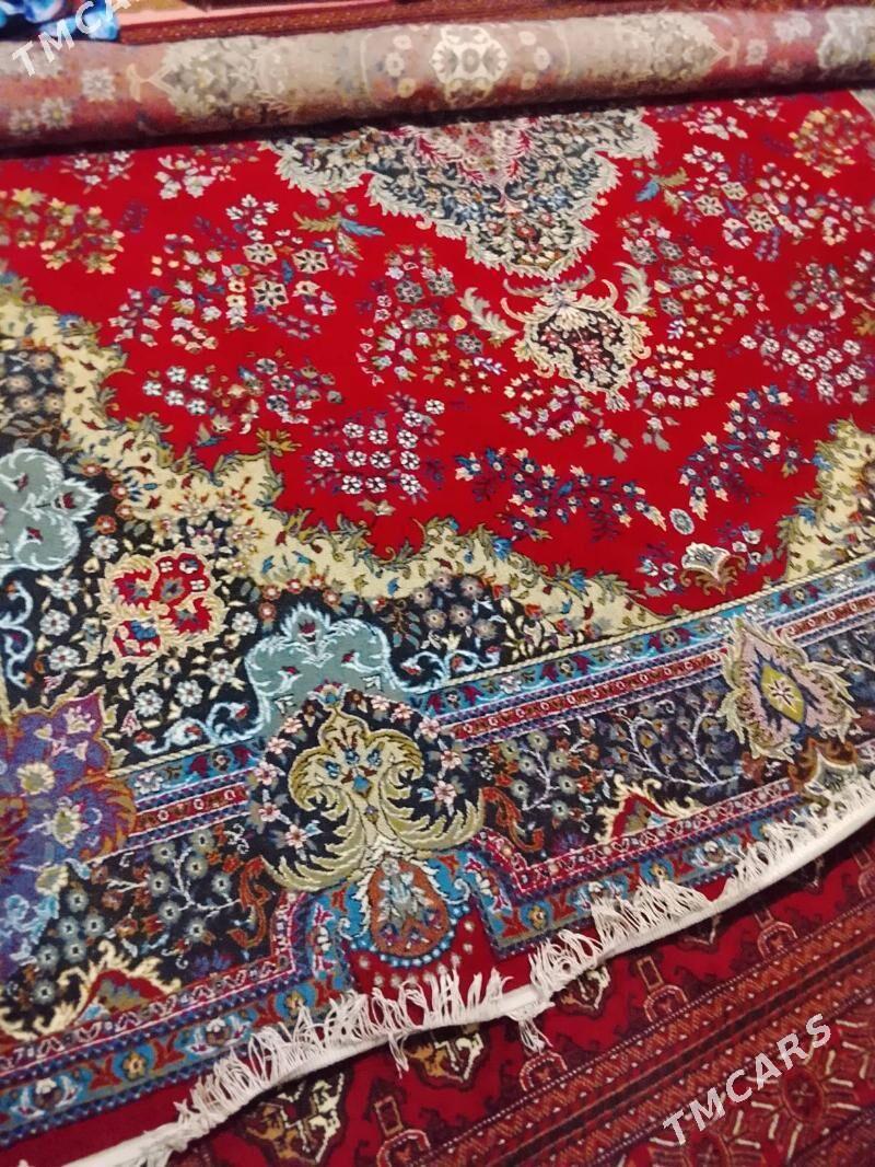 haly - Туркменбаши - img 2