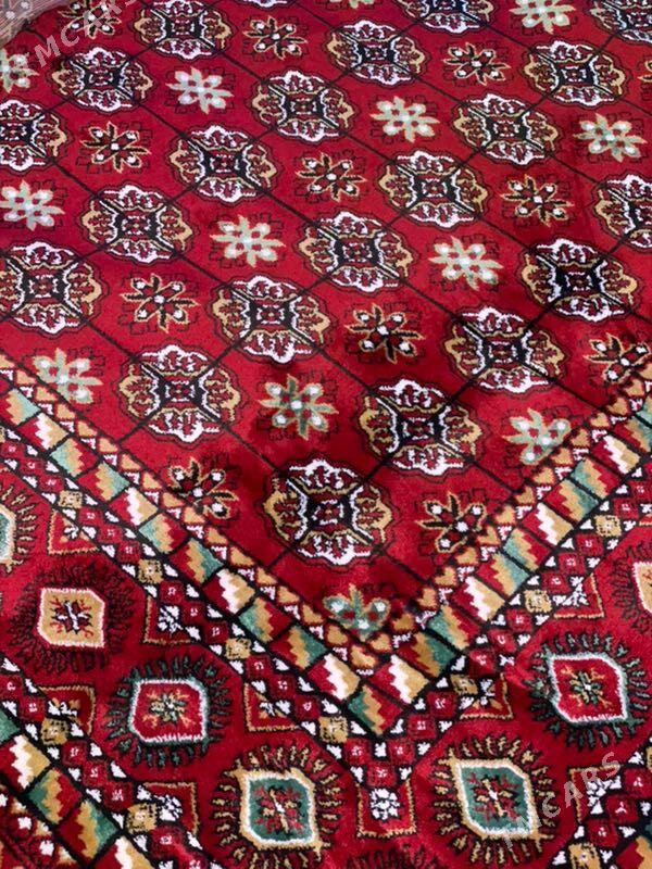 HALY - Теджен - img 1