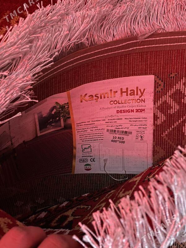 HALY - Теджен - img 2