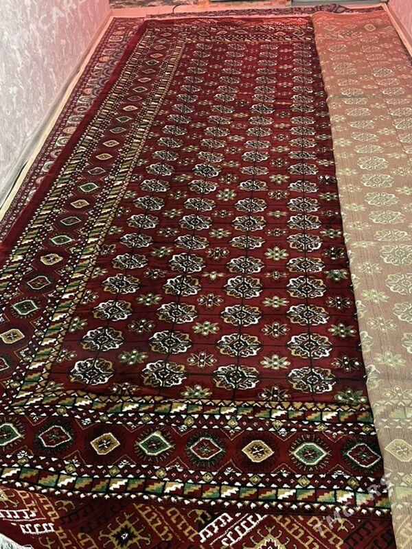 HALY - Теджен - img 3