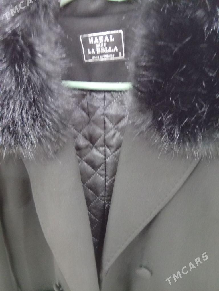 palto - Дашогуз - img 2