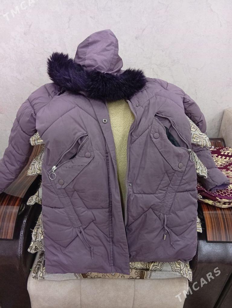 kurtga - Daşoguz - img 2