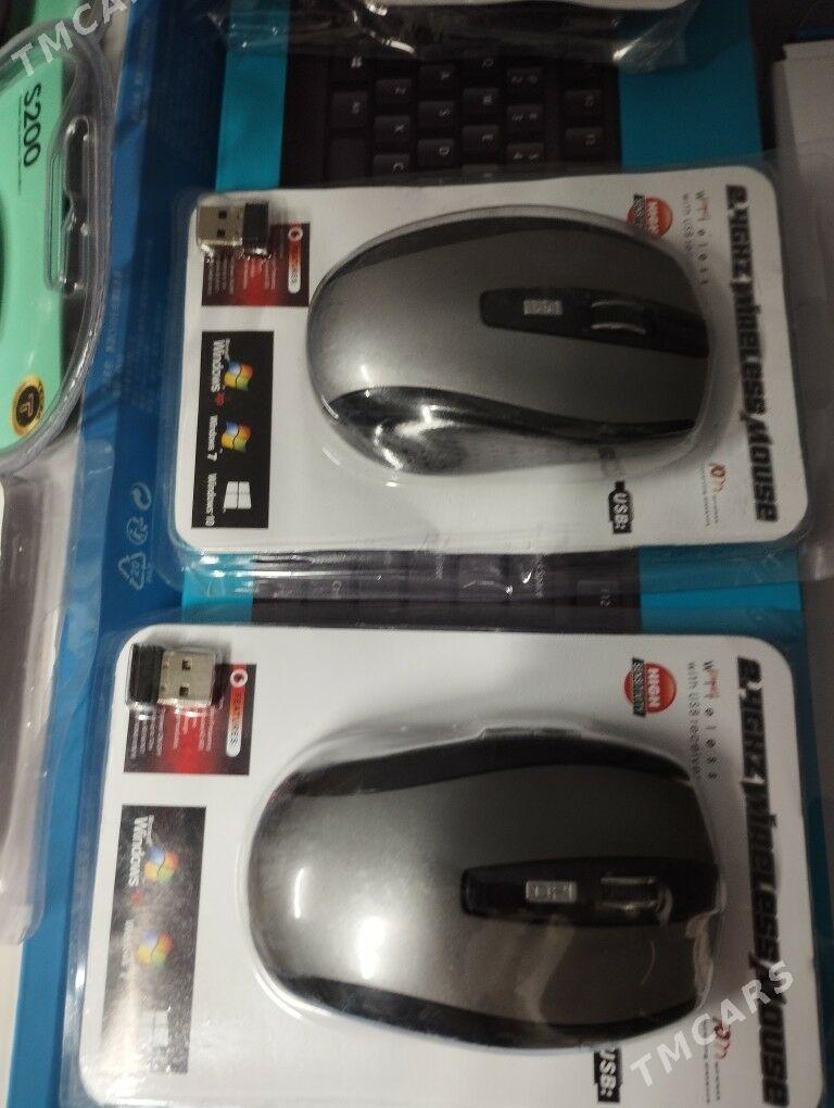 myshka .Мышка - Туркменабат - img 3