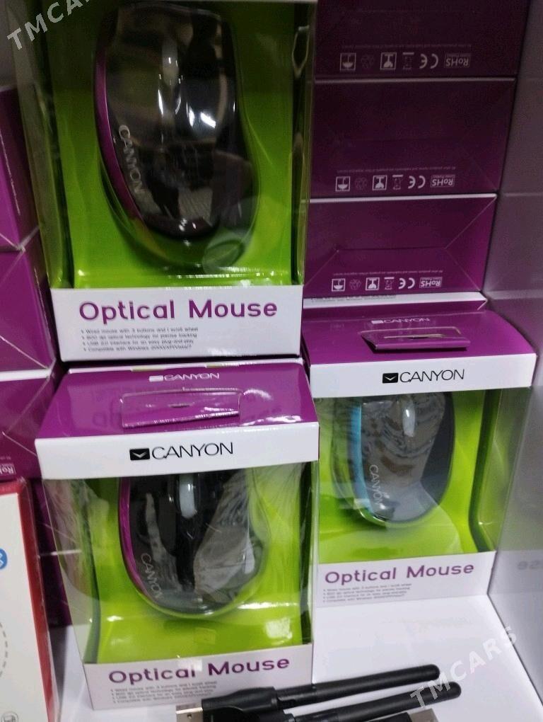 myshka .Мышка - Туркменабат - img 6