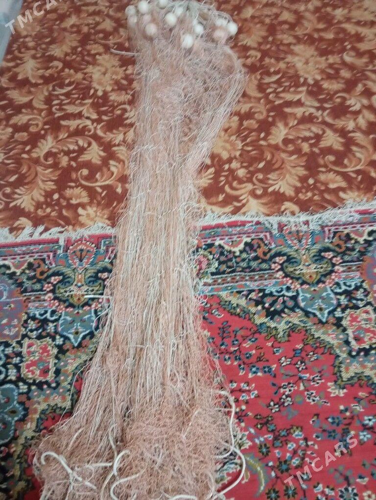 tor - Garabekewül - img 2