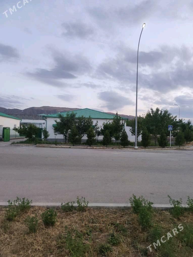 Bereketli zaman gawers - Ак-Бугдайский этрап - img 2