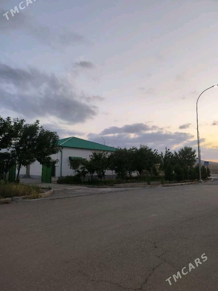 Bereketli zaman gawers - Ак-Бугдайский этрап - img 3