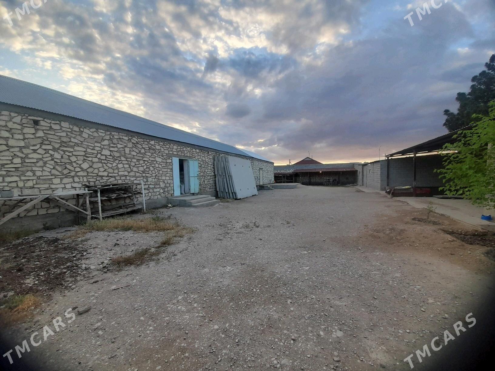 Satlyk Yer - Balkanabat - img 3