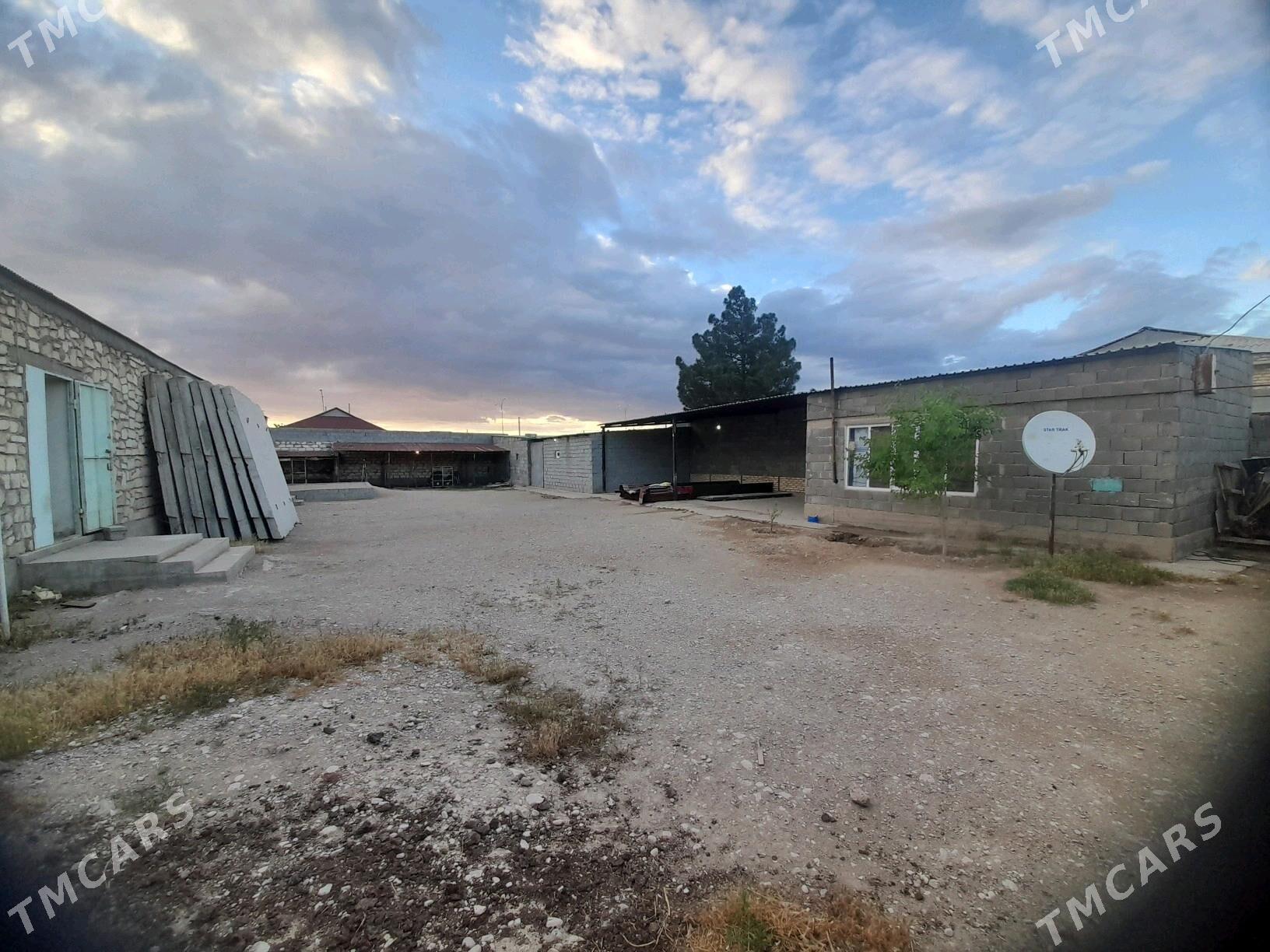 Satlyk Yer - Balkanabat - img 4