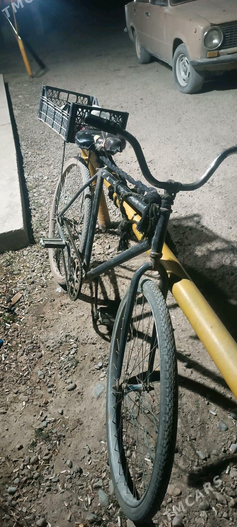 orsun tigri - Kaka - img 1