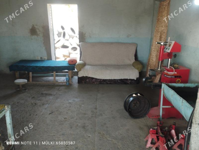 wulkanzaysa isgar gerek - Mary - img 2