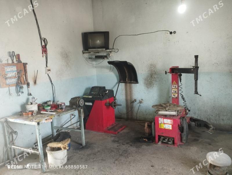 wulkanzaysa isgar gerek - Mary - img 1