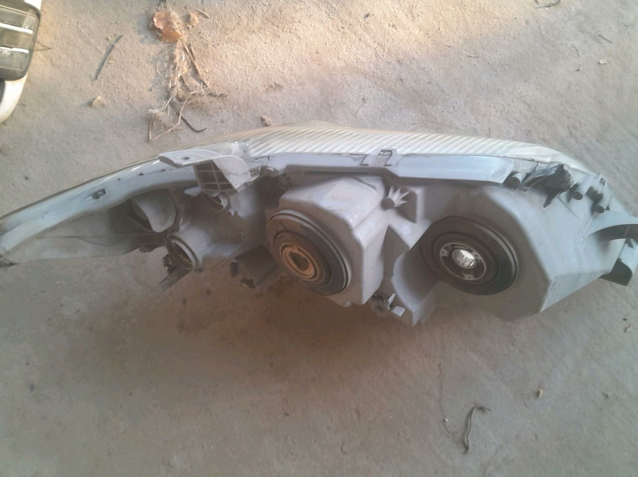 okuz kele fara 450 TMT - Gökdepe - img 2