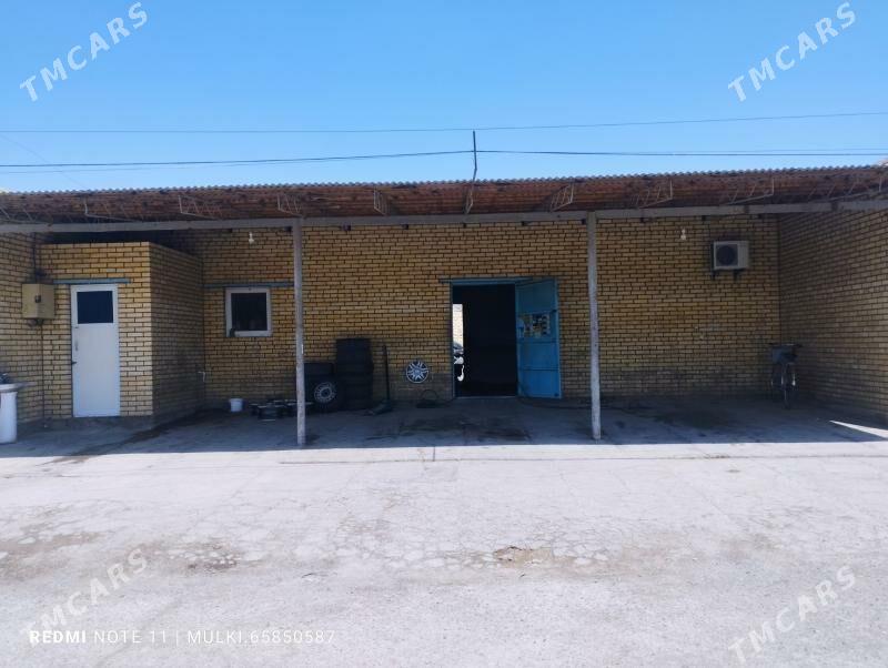 wulkanzaysa isgar gerek - Mary - img 4