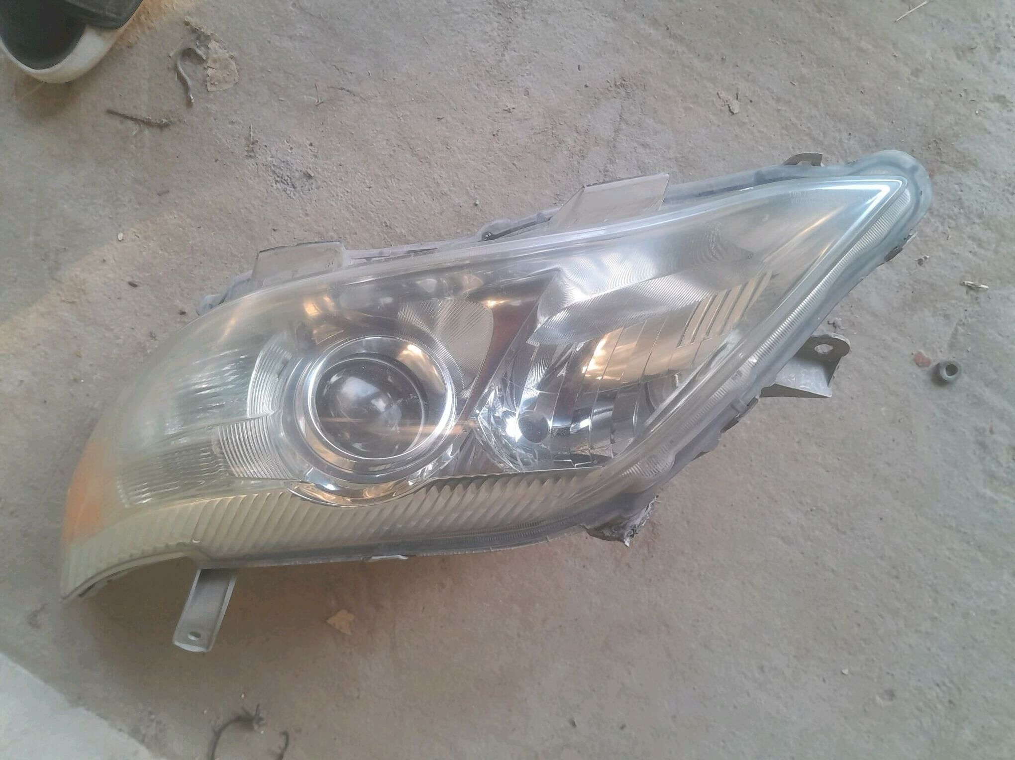 okuz kele fara 450 TMT - Gökdepe - img 3